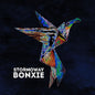 Pre-Order: Stornoway - Bonxie [Colored Vinyl] [Deluxe] (Gate) (Aniv)