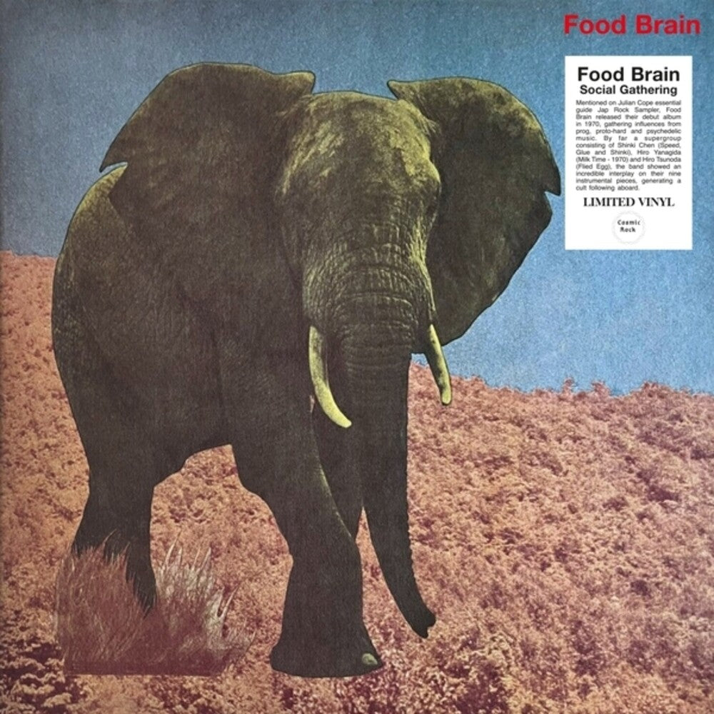 Food Brain - Social Gathering [LP]
