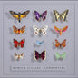 the album cover for Eulberg, Dominik - Lepidoptera