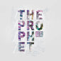 the album cover for T.O.Y. - Prophet