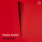 the album cover for Yang Bao - Madlands