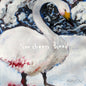 the album cover for Swallow - Highway Radio / 1620 Khz