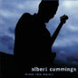 the album cover for Albert Cummings - From The Heart