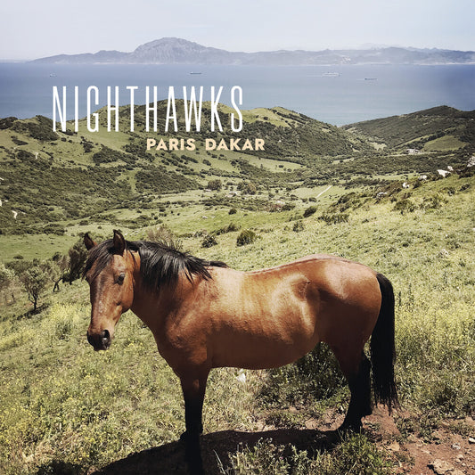 the album cover for Nighthawks - Paris Dakar
