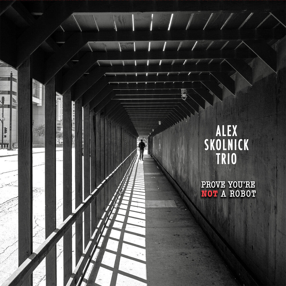 the album cover for Skolnick, Alex Trio - Prove You're Not a Robot