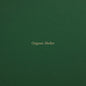 the album cover for Andrea Penso - Organic Shelter