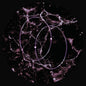 the album cover for Bézier - Negative Velocity (Ep)