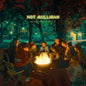 the album cover for Hot Mulligan - Acoustic Vol. 1 + 2 - Copper Emerald [Colored Vinyl]