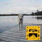 the album cover for Jaguar Sun - Daisy