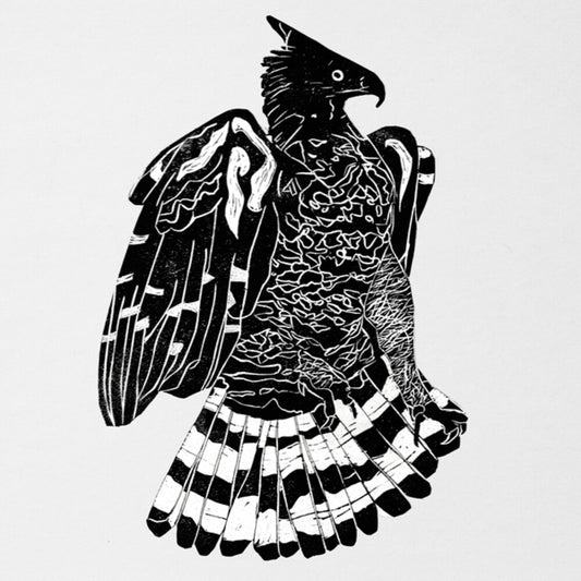 the album cover for Alpha Steppa & Nai-Jah - Crowned Eagle