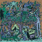 the album cover for Al Doum  / Faryds - Ipnagogico