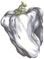 the album cover for Ween - White Pepper [Colored Vinyl] (Grn) [Limited Edition]