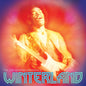 the album cover for Jimi Hendrix Experience - Winterland