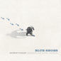 the album cover for Sigurdur Flosason - Blue Shoes