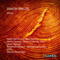 the album cover for Vincze, Davor - Ashes