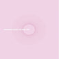 the album cover for Jetenderpaul - Presents The Modal Lines - Pink Splatter [Colored Vinyl]