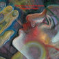 the album cover for Planetary Assault Systems - Planetary People [3LP]
