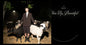 the album cover for Jutes - Chin Up Beautiful [Digipak]