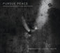 the album cover for Amy Hillis - Pursue Peace -Contemporary Chamber Music Canadian