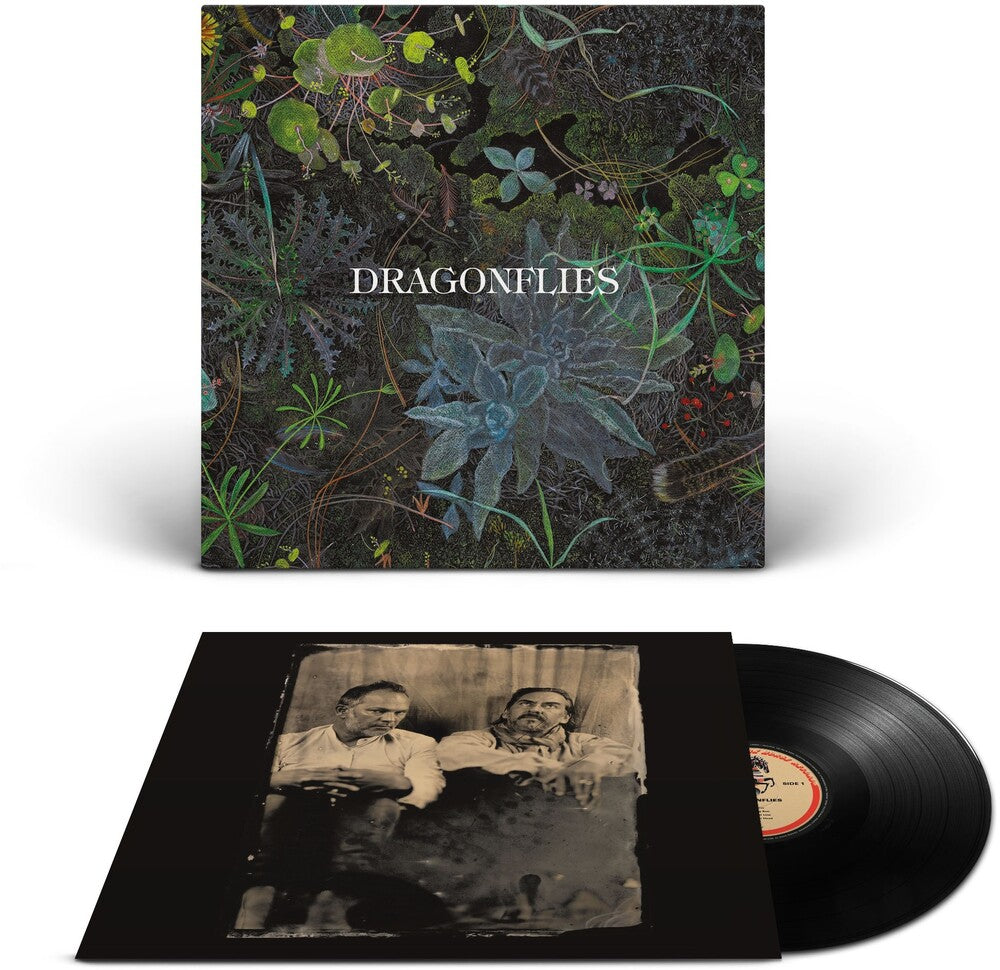 the album cover for Dragonflies - Dragonflies [Black]