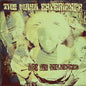 the album cover for Maya Experience - Are You Influenced