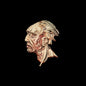 the album cover for Hungry Ghosts - Hungry Ghosts