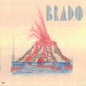 the album cover for Animal Invisivel - Brado