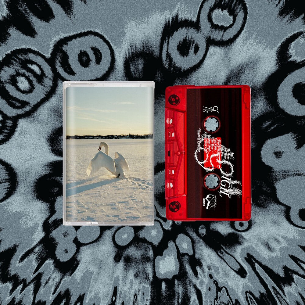 the album cover for Sour Widows - Sigil