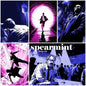 the album cover for Spearmint - Chase Me