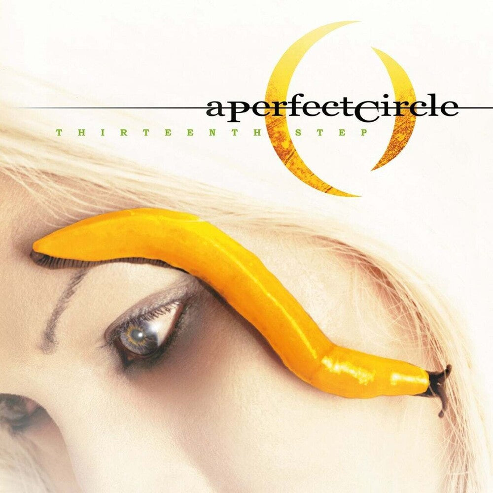 A Perfect Circle - Thirteenth Step [Import LP]