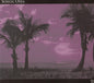 Songs: Ohia - Lioness [Import]